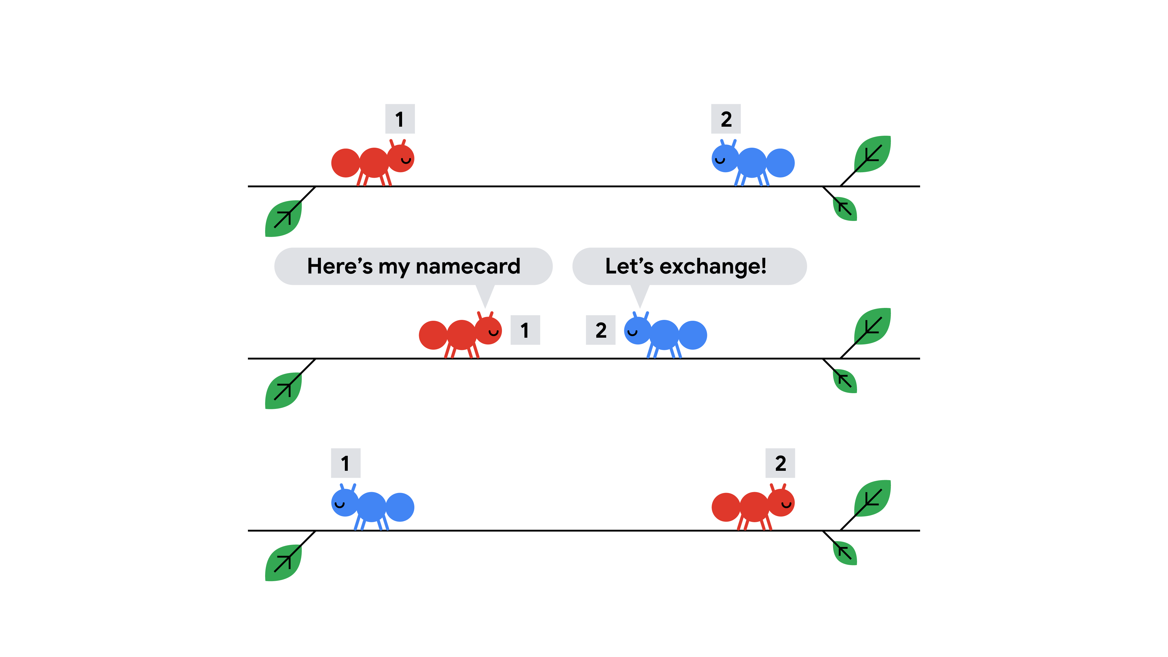Image showing how the ants exchange IDs